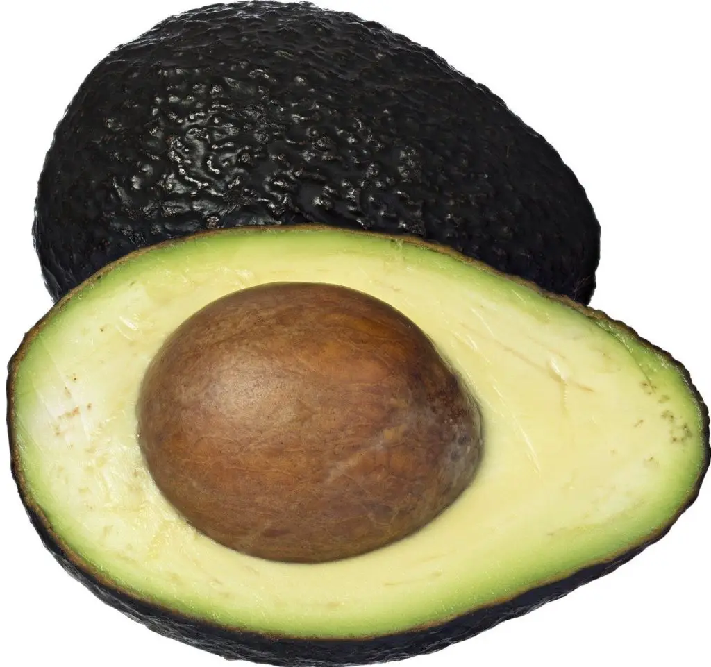 avocado vegetable 