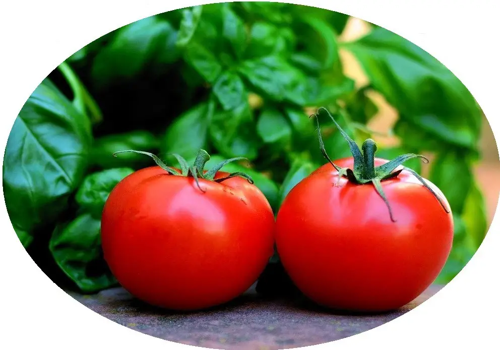 tomato vegetables greens 